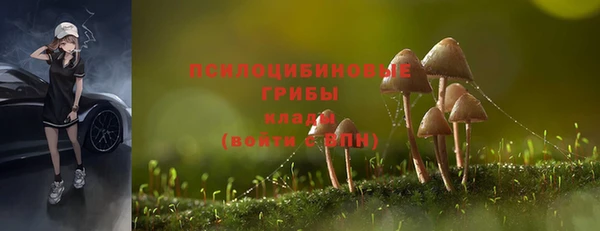кокаин Арсеньев